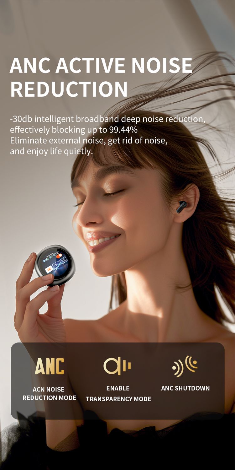 Noise Reduction Earphone